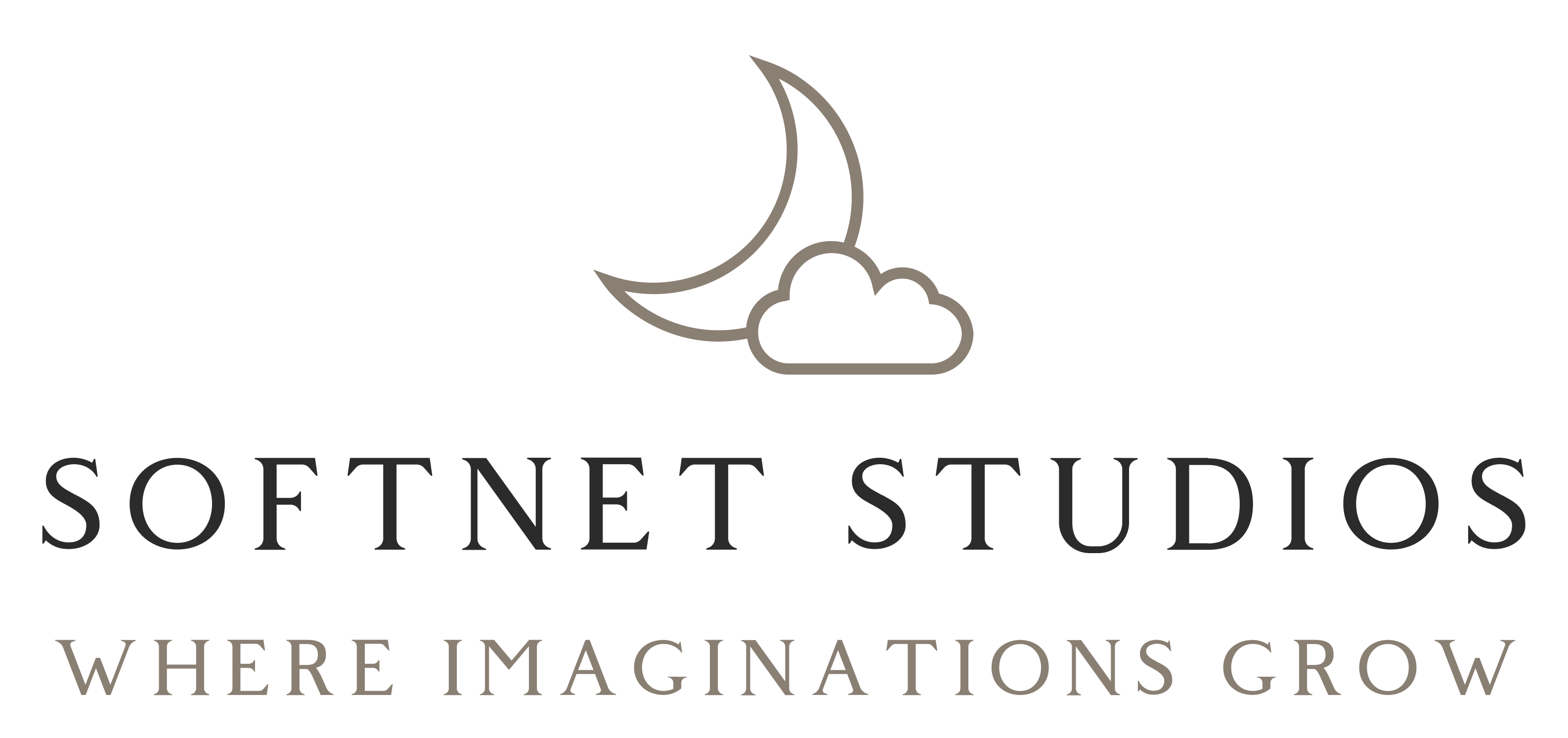 Soft Net Studios